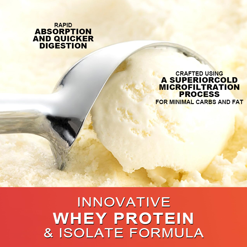 Proteína de Suero Gold Standar - Fitness Nutrition Whey Protein reseña y precio